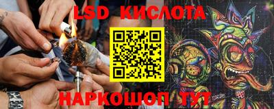 дживик Кунгур