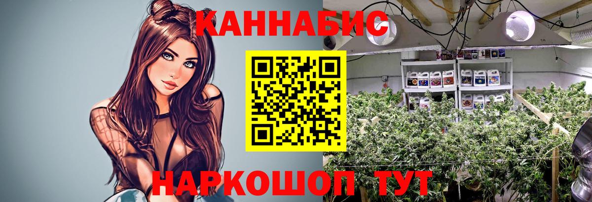 Бошки марихуана ГИДРОПОН Губкинский